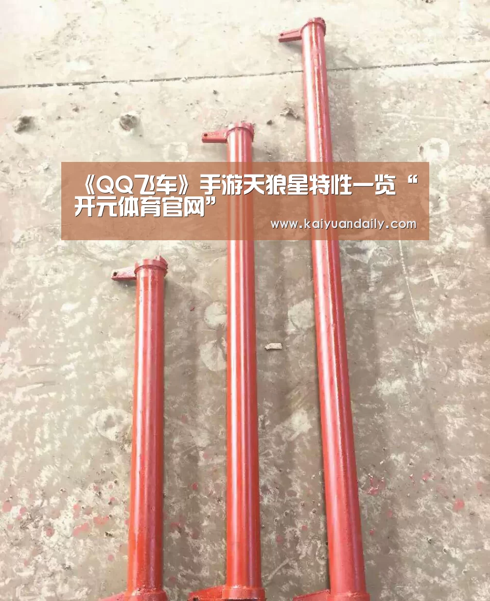 开元体育官网直播