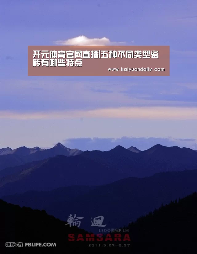 开元体育官网直播|五种不同类型瓷砖有哪些特点