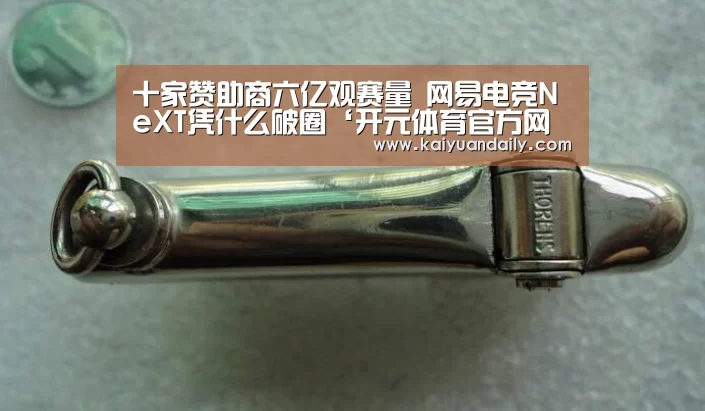 十家赞助商六亿观赛量 网易电竞NeXT凭什么破圈‘开元体育官方网站’(图2) 开元体育官方网站
