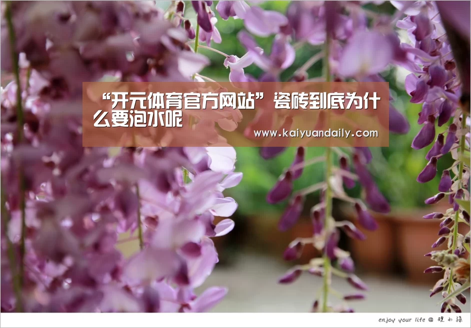 “开元体育官方网站”瓷砖到底为什么要泡水呢(图3) 开元体育官网